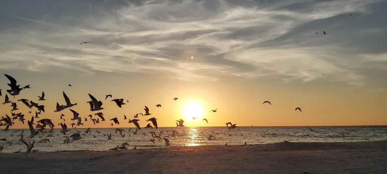 Villa Sunset Vistas 603W St. Pete Beach Exterior foto